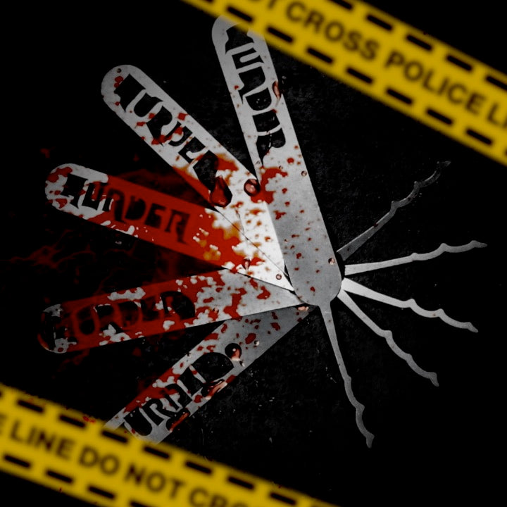 Lock Noobs Murder Picks – SPARROWS Lock Picks