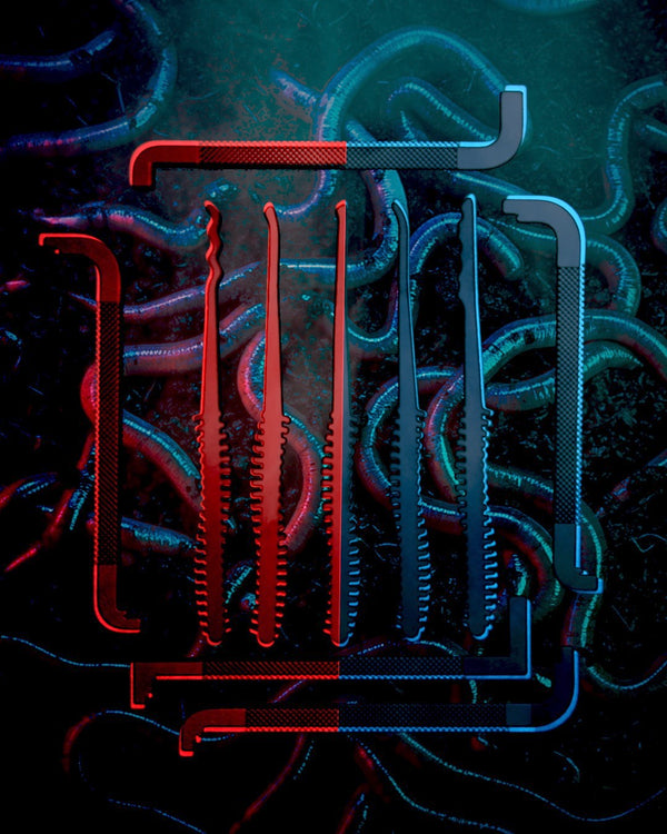 The Night Crawler