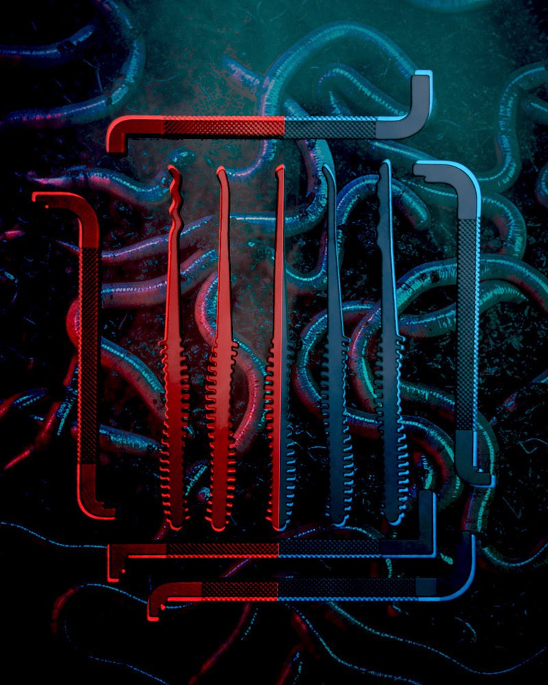 The Night Crawler